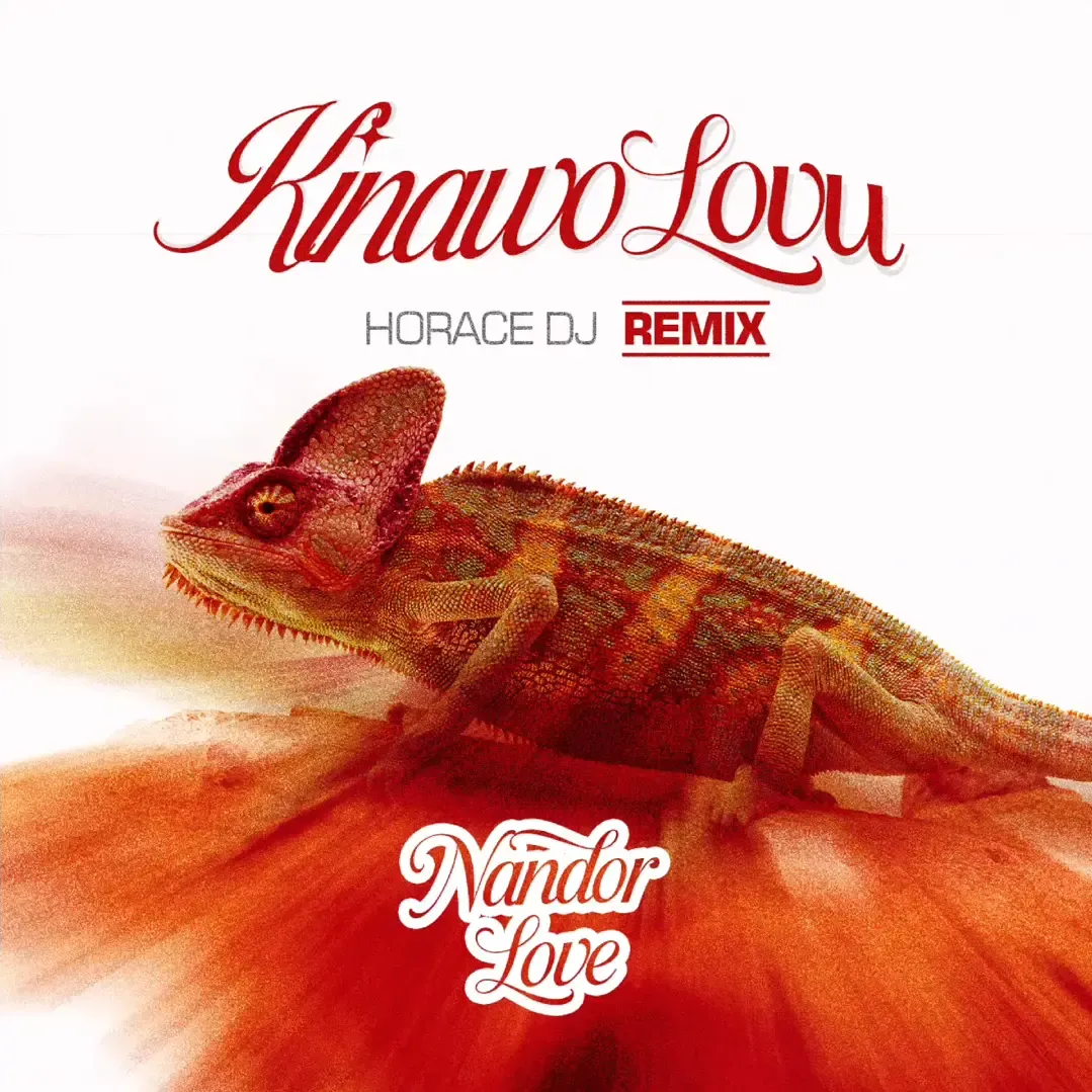 Kinawolovu (Horace DJ Remix) - Nandor Love