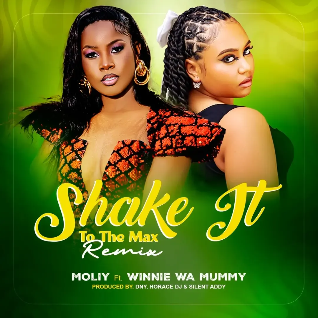 Shake It To The Max (Remix) - Winnie Wa Mummy, Moliy