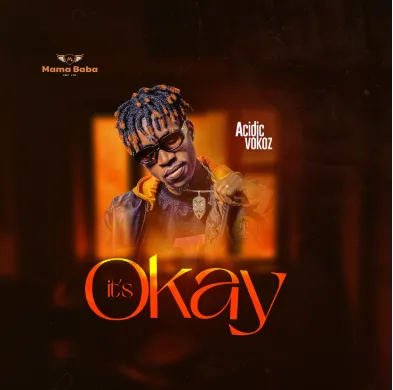 Its Okay - Acidic Vokoz