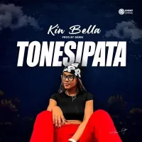Tonesipata