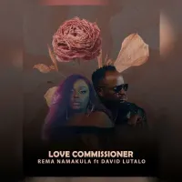 Love Commissioner cover