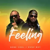 Feeling cover