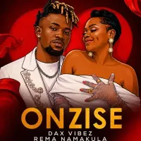 Onzise cover