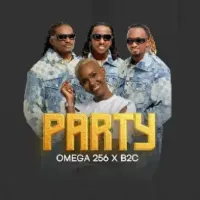 Party cover