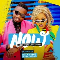 Now cover