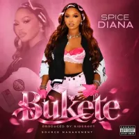 Bukete cover