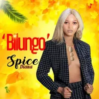 Bilungo cover