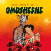 Omusheshe cover