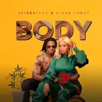 Body cover