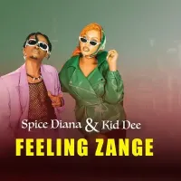 Feeling Zange cover