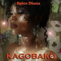 Kagobako cover