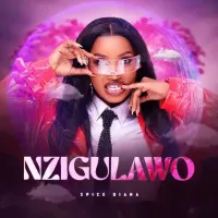 Nzigulawo cover