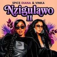 Nzigulawo II cover