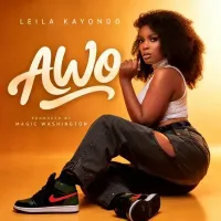 AWO cover