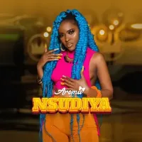 Nsudiya cover