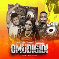 Omudigidi cover
