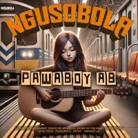 Ngusobola cover
