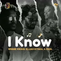I Know cover