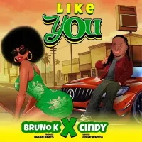 Like You cover