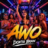 Awo cover