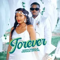 Forever cover