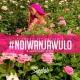 Ndiwanjawulo